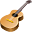 GuitarTab Maestro